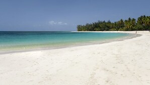 A beach with white sand and clear turquoise water, lined with palm trees and a small beach area. - 5 star BEACH VIEW DUPLEX W/ PRIVATE POOL, JACUZZI (Las Terrenas)