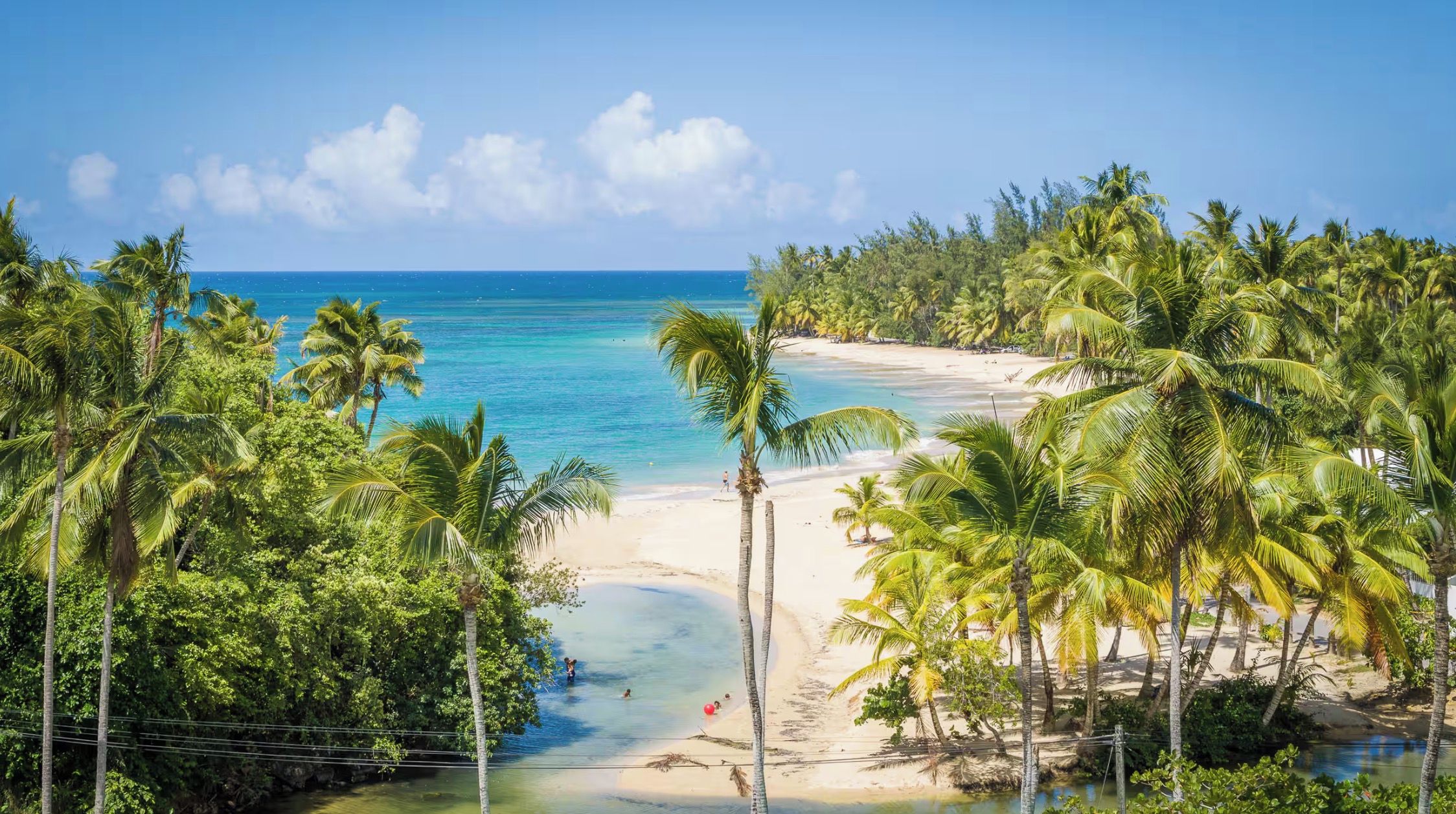 Une plage à l’eau d’un bleu cristallin, bordée de palmiers et dotée d’un rivage sablonneux.