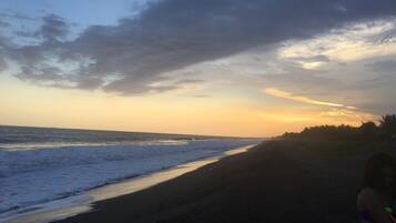 Plage, chaises longues