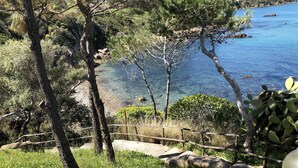 A coastal landscape with trees, a clear view of the sea, and a stone pathway.