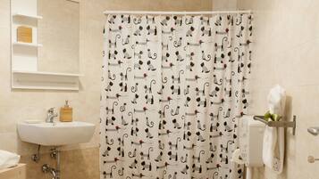 Regadera, secadora de cabello, bidet, toallas