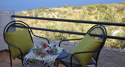 Villa Mediterranea - between Scopello and the Zingaro Reserve