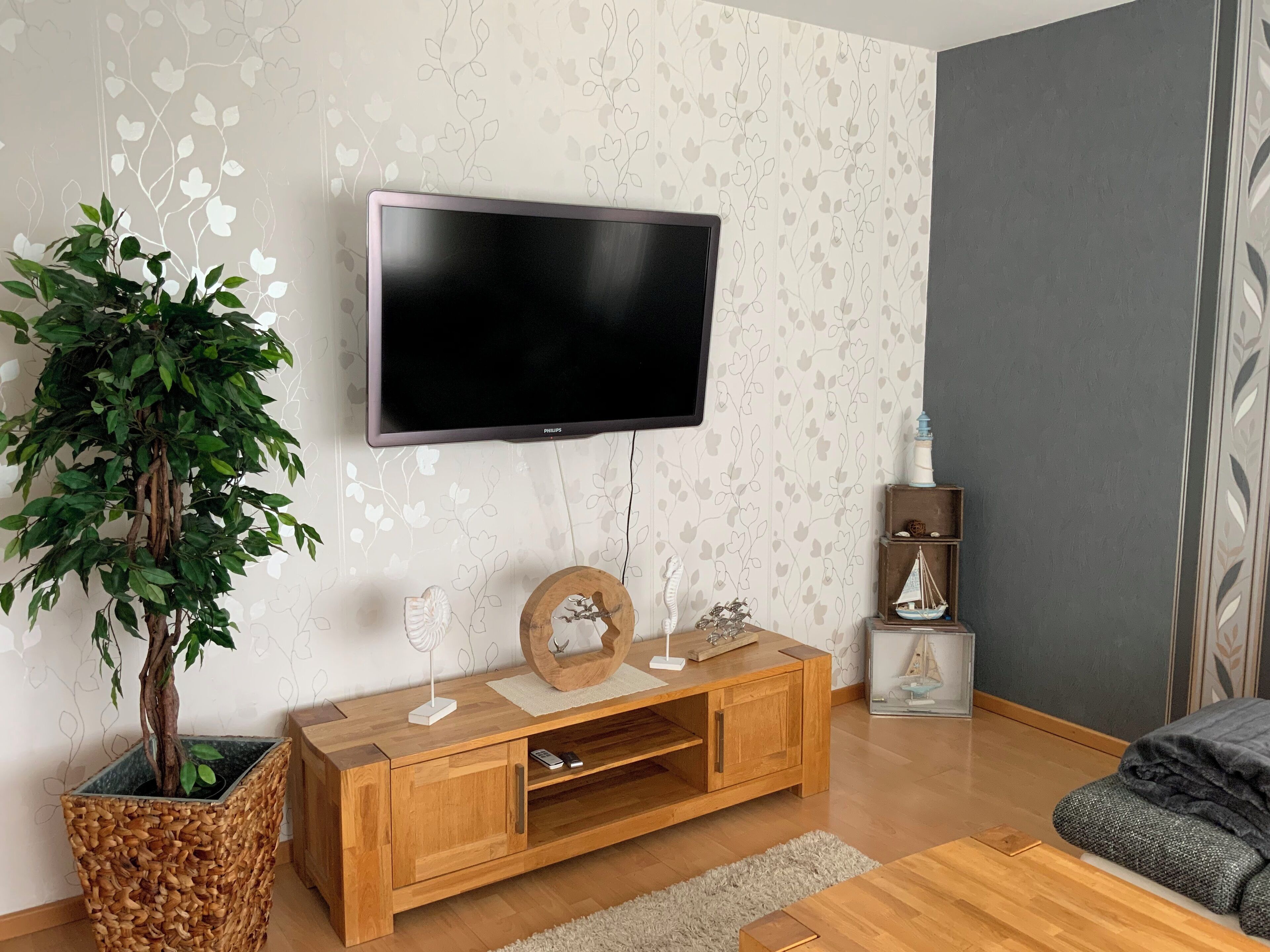 Smart TV, DVD player, books, music library