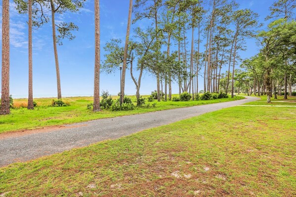 Un sendero pavimentado bordeado de altos árboles y zonas verdes, que se extiende hacia un horizonte lejano.