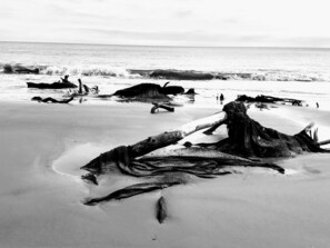 On the beach, sun-loungers, beach towels