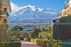 A pathway leading to a mountain with a snow-capped peak, surrounded by greenery and buildings.