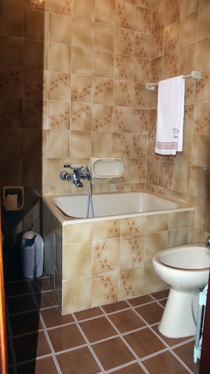 Combined shower/tub, hair dryer, bidet, towels