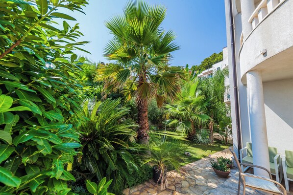 A garden with various plants and a stone pathway.