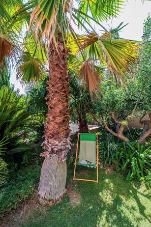 A palm tree with a wooden swing chair in a garden.