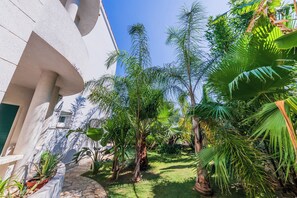 A courtyard with a stone pathway, palm trees, and a white building with a window.