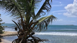 A beach with clear shallow waters, a palm tree, and a distant island. - Villa Beachcliff,  "The Perfect Island Sanctuary" (Lance Aux Epines)