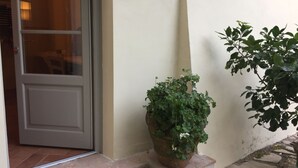 A potted plant on a stone step outside a building with a closed door. - DOUBLE ROOM  (Molina di Quosa-rigoli)