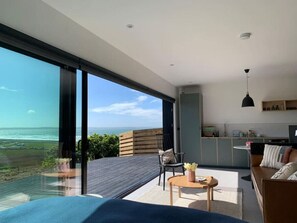 TV, fireplace, video games, DVD player