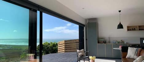 Televisión, chimenea, videojuegos y reproductor de DVD