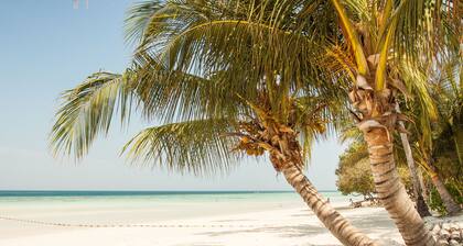 1 Room,1,5 pers. Srilanka,Ambiente Klassik- Einzelzimmer ,ab 20€ +AC+Vantilador