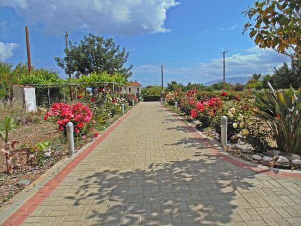 A paved pathway lined with flowering plants and trees, leading towards a building with a red roof.