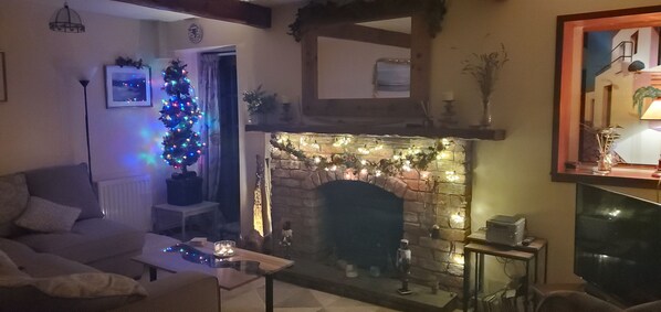 TV, fireplace, DVD player, books