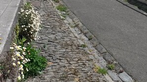 Mukulakivipolku johtaa valkoiseen rakennukseen, jonka katto on peitetty punaisilla tiilillä.