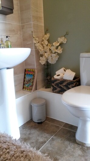 Combined shower/bathtub, hair dryer, towels, soap