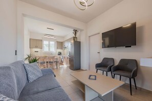 Télévision, cheminée, lecteur de DVD