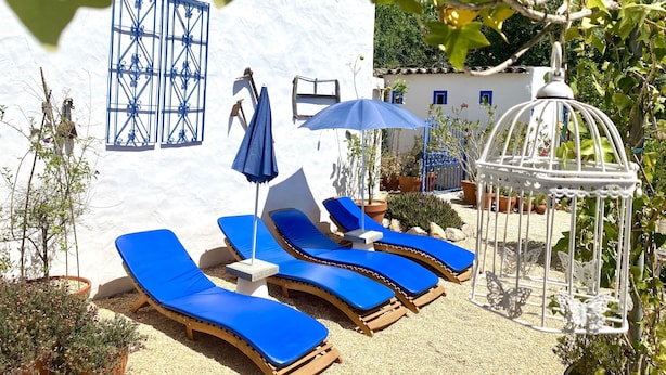 A sunny outdoor area with blue lounge chairs, a white birdcage, and potted plants.