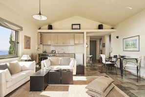 Smart TV, fireplace, DVD player, books