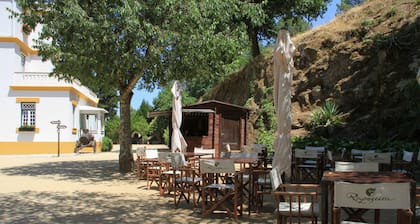 Ferienhaus auf dem Camping Lamego Douro Valley