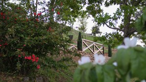 Un pont de pierre dans un jardin, avec des fleurs rouges et un feuillage verdoyant.