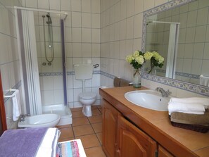 Shower, hair dryer, bidet, towels