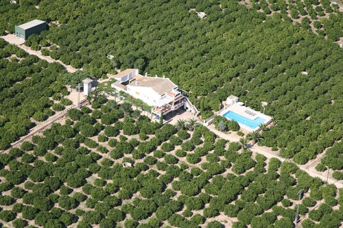 rural farmhouse located in an orange farm itself