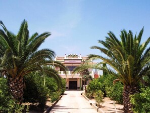 A building with a central entrance, flanked by palm trees and surrounded by greenery.