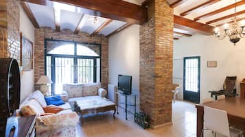 TV, fireplace, DVD player, books