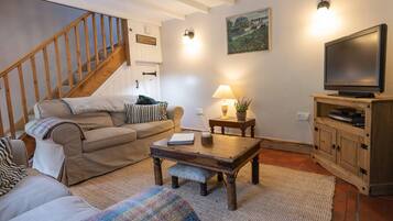 Smart TV, fireplace, DVD player, books