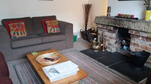 TV, fireplace, DVD player, books