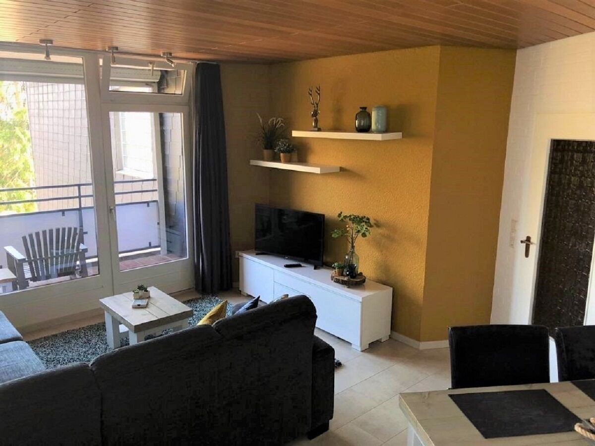 TV, DVD player, books, video library