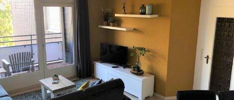 TV, DVD player, books, video library