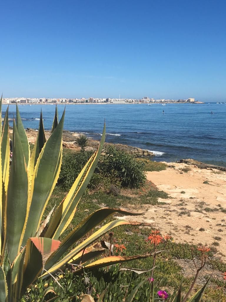 Un paisaje costero con una playa arenosa, vegetación verde y un mar azul cristalino.