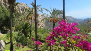 Un exuberante jardín con palmeras y vibrantes flores de buganvilla rosadas, con montañas rocosas y cielo azul claro al fondo.