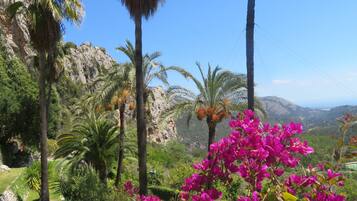 Jardines del alojamiento