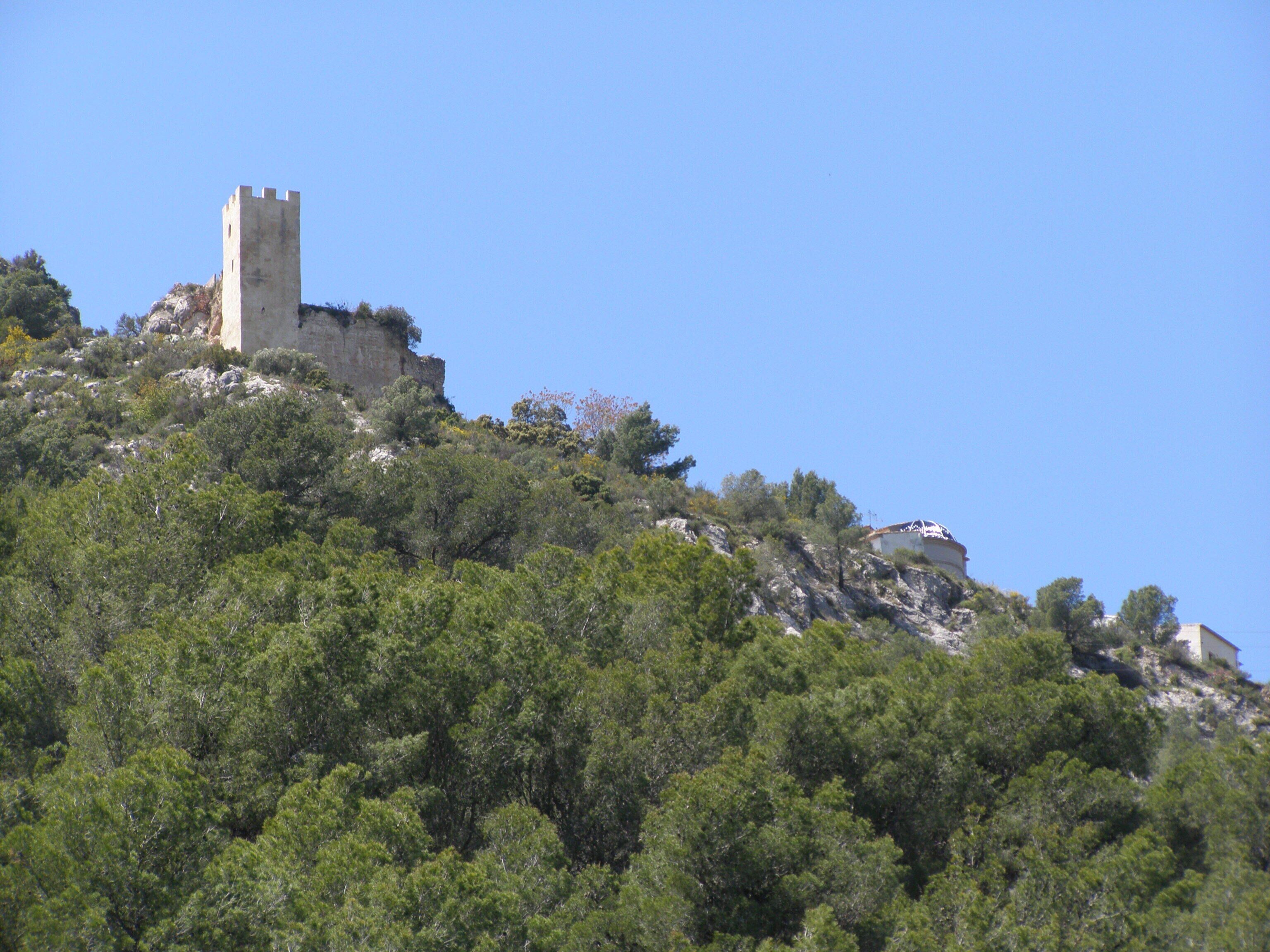 Un castillo en una colina rodeado de árboles verdes y frondosos.