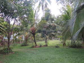 Property grounds - Colonial House Hide Away In The Nature Near The Beach Talalla . [ Just 200 m] (Matara)