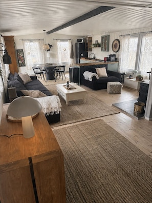 Smart TV, fireplace, books, stereo