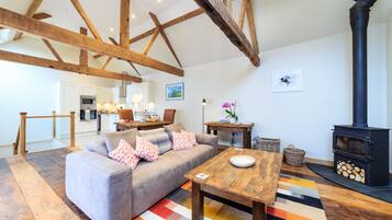 Smart TV, fireplace, Netflix, books