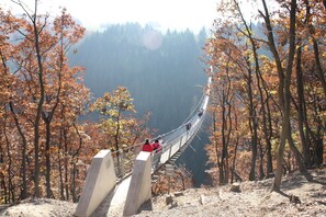 Un puente colgante en un área boscosa con follaje otoñal.