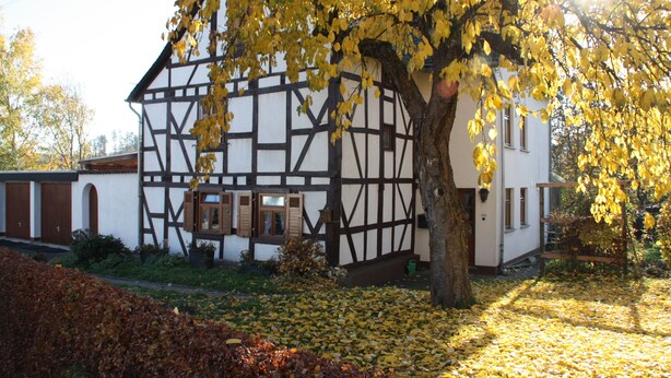 A traditional half-timbered house with a large tree in front, surrounded by fallen leaves.