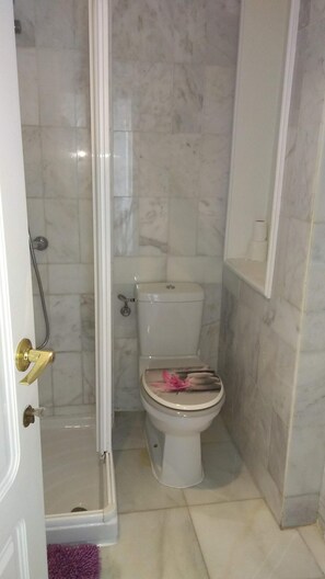 Hair dryer, towels, soap, shampoo - Studio in Puerto Banus, Marbella for Holidays or Business. POOL-PARKING-GARDE (MARBELLA)