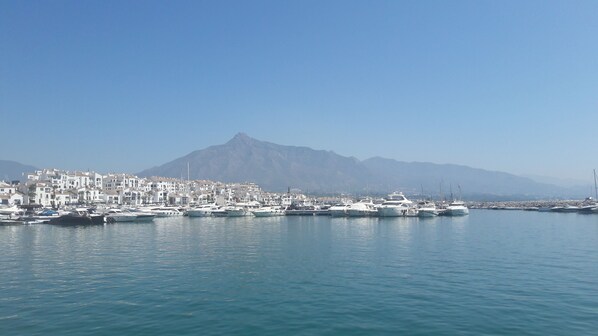 Marina