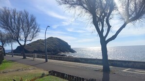 A coastal walkway with a view of the sea, a grassy area, and a tree. - Ilhéu Corner - "Blue and Sea" (Ponta Delgada)