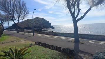 A coastal walkway with a view of the sea, a grassy area, and a tree.