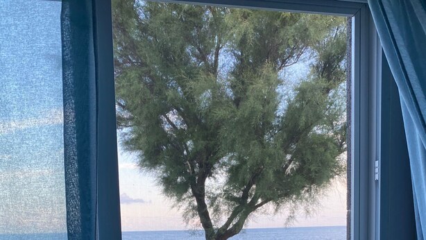 A view from a room with a large window overlooking a grassy area with a table set for two, a tree, and a body of water. - Ilhéu Corner - "Blue and Sea" (Ponta Delgada)